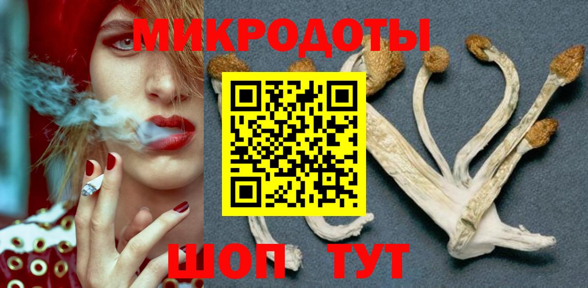 Псилоцибиновые грибы Cubensis Мариинск